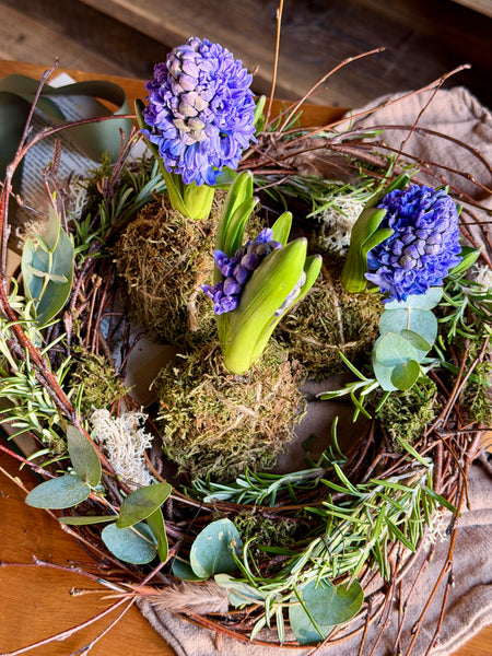 Birch Halo Hyacinths