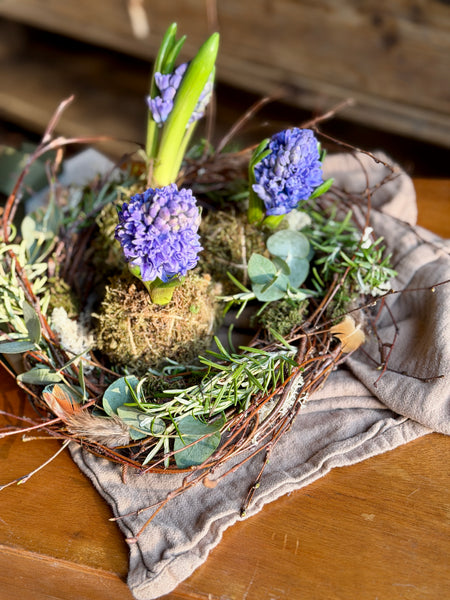 Birch Halo Hyacinths