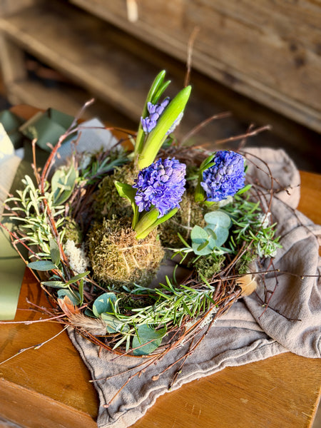Birch Halo Hyacinths