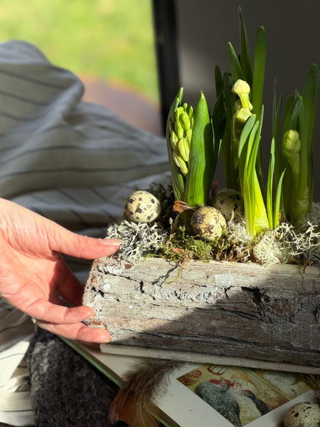 The Easter Meadow Trough