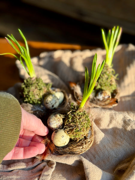 Muscari Nest Trio