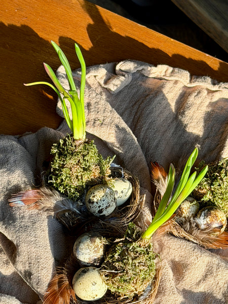 Muscari Nest Trio
