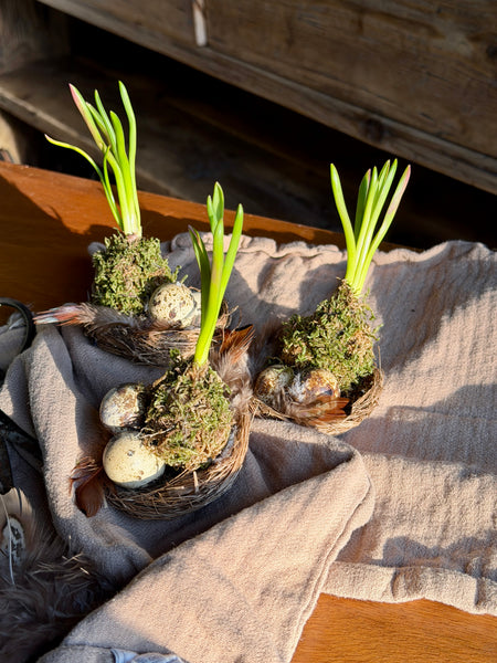 Muscari Nest Trio