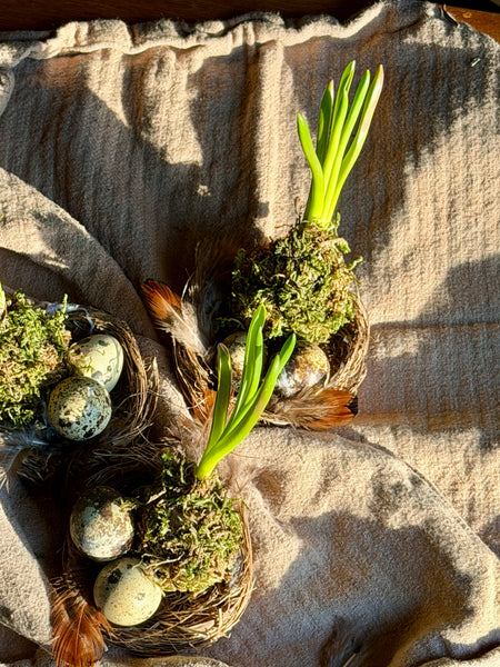 Muscari Nest Trio