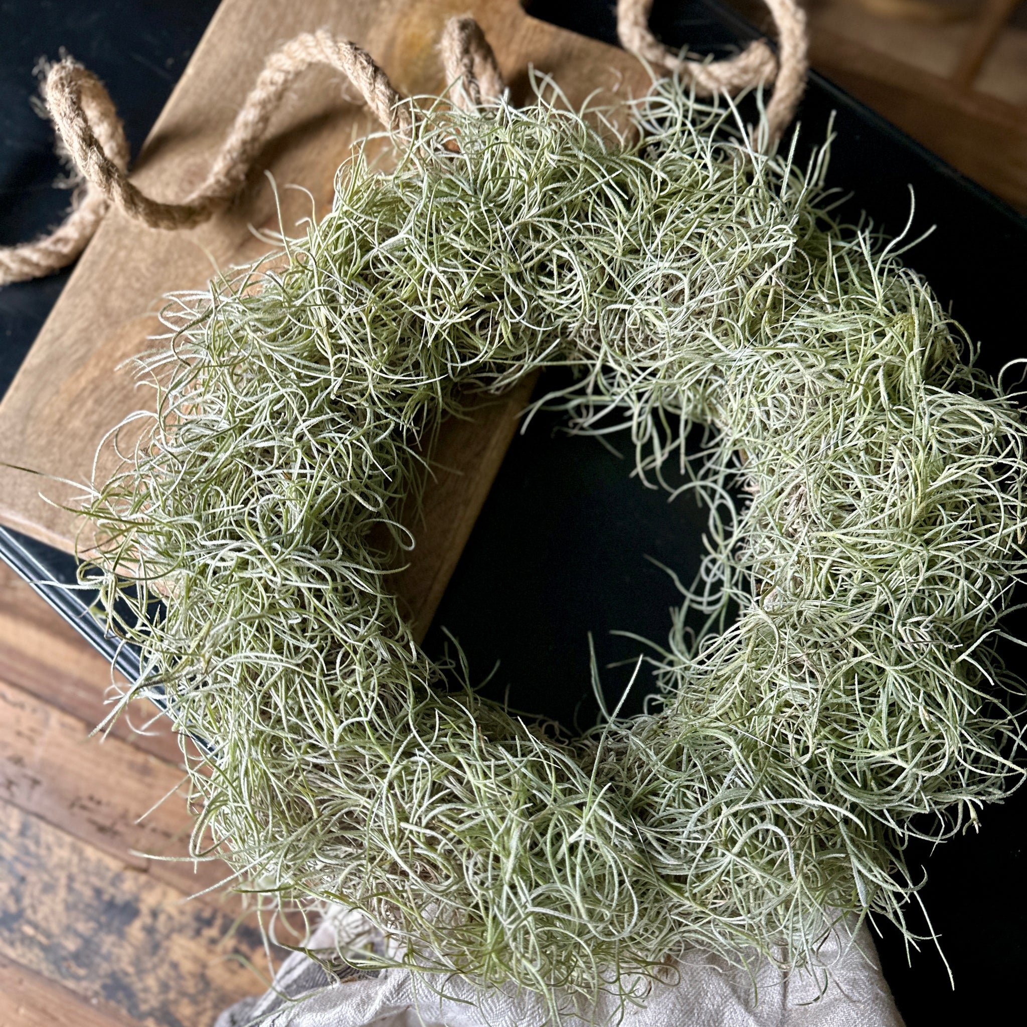 Air Plant Tillandsia Usneoides / Spanish Moss Wreath