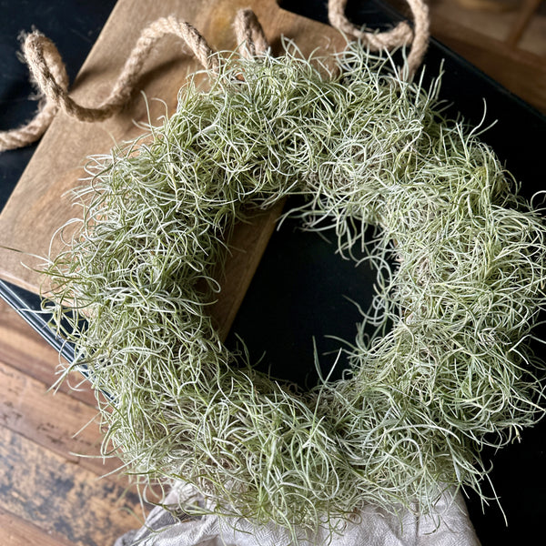Air Plant Tillandsia Usneoides / Spanish Moss Wreath