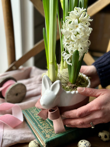 Ceramic Bunny Spring Flowering Bulb Planter