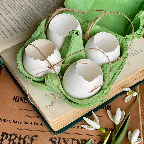 Four Blown Hens Eggs for Hanging
