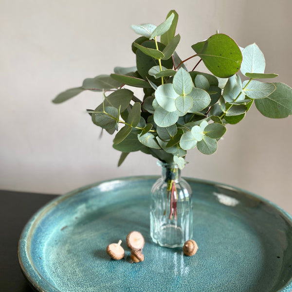 Fresh Eucalyptus Bud Vase Gift Set