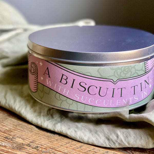 A Biscuit Tin With Succulents In