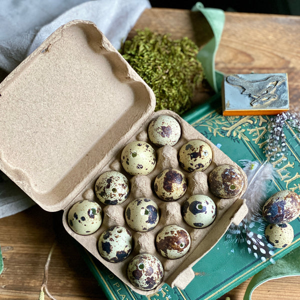 Twelve Blown Natural Quail Eggs || Easter || Crafts || Decorations