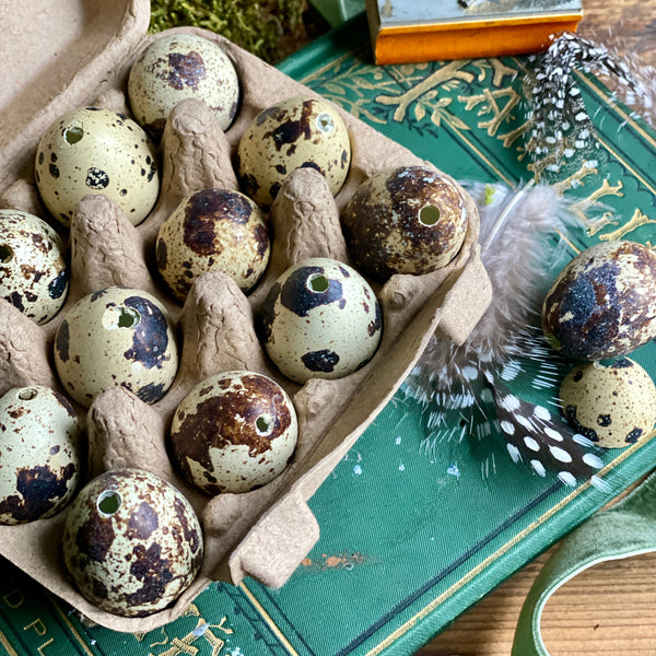 Twelve Blown Natural Quail Eggs || Easter || Crafts || Decorations