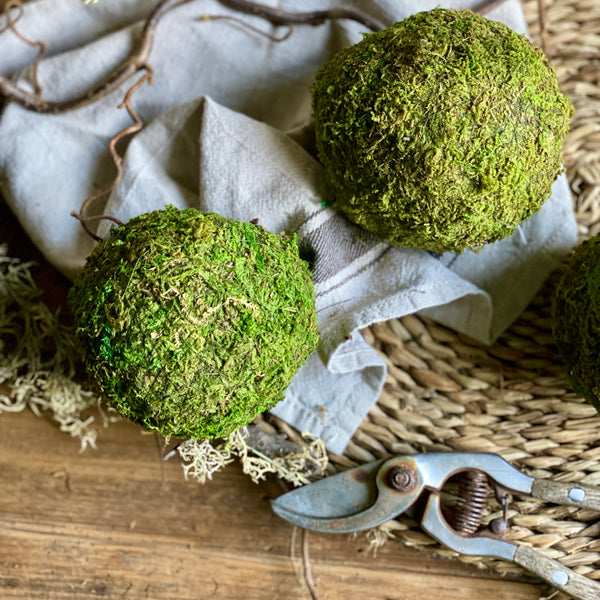 Three Dried Moss Spheres || Balls