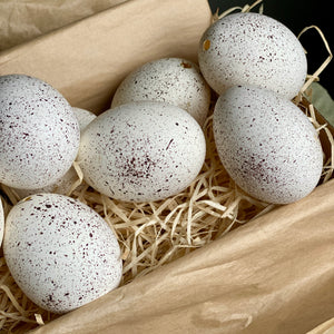 One Dozen || 12 White Blown Hens Handpainted Brown Speckle Eggs