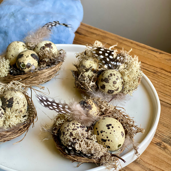 Four Handmade Miniature Nests with Real Blown Quail Egg Place Name Holders