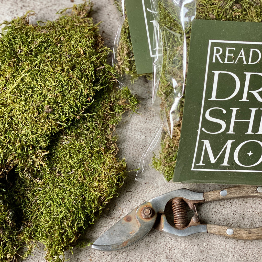 Dried Sheet Moss – The Florist's Daughter